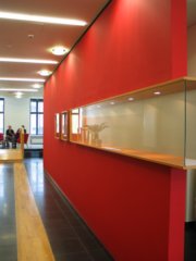 img_4781.jpg
