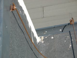 img_4966.jpg