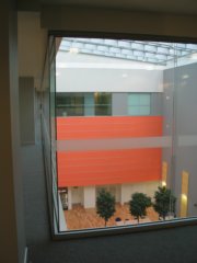 img_4990.jpg